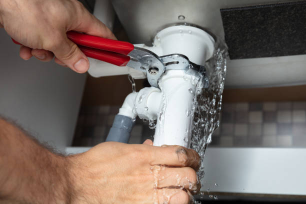 Best Professional water damage repair  in Pendleton, SC