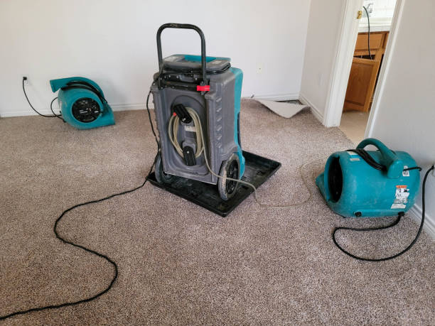 Best Water damage restoration near me  in Pendleton, SC