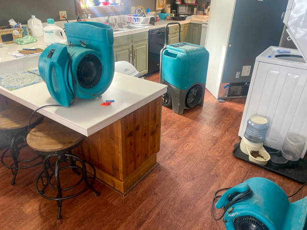 Best Basement water damage restoration  in Pendleton, SC