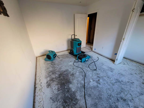 Best Mold removal after water damage  in Pendleton, SC