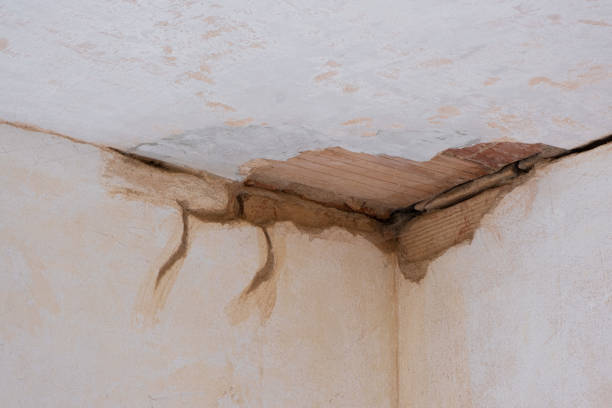 Best Water damage cleanup near me  in Pendleton, SC