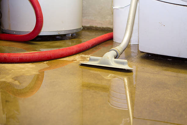 Best Commercial water damage restoration  in Pendleton, SC