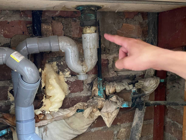 Best Flood damage cleanup  in Pendleton, SC