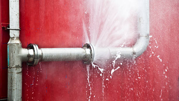 Best Water damage restoration near me  in Pendleton, SC